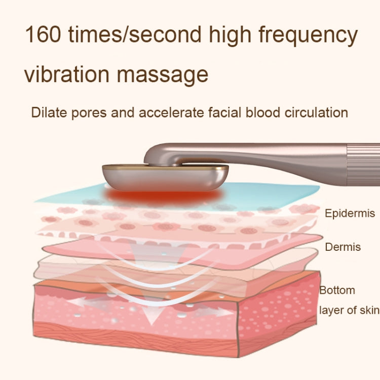 1605 Multifunctional 360-degree Rotating EMS Micro-Current Radio Frequency Beauty Instrument, Purple, Pink, Navy Blue